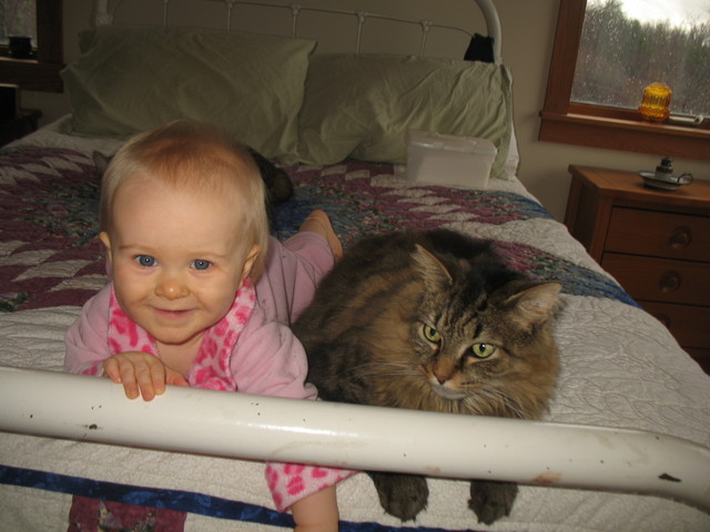Best buddies