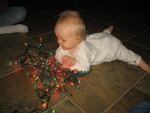 December 7: Brianna sees Christmas lights for the first time.  She was absolutely fascinated by them!