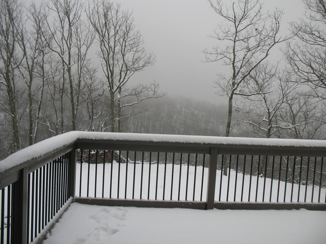 Back yard snow