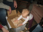 They're wooden blocks in all kinds of interesting shapes