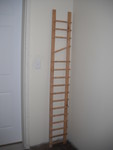 Ladder section