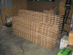DSCN0601