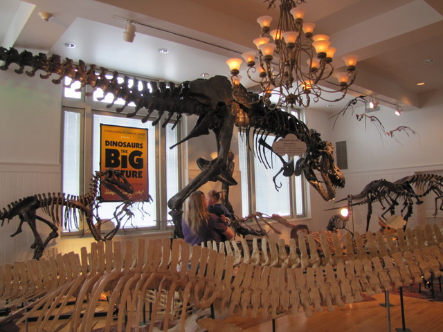 Kids' favorite: T Rex!