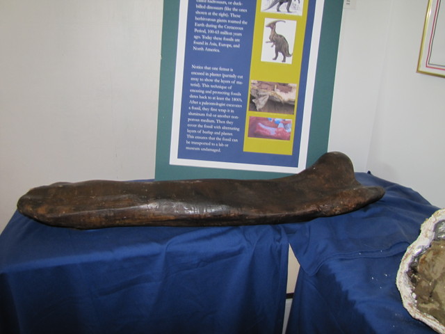 IMG 0078