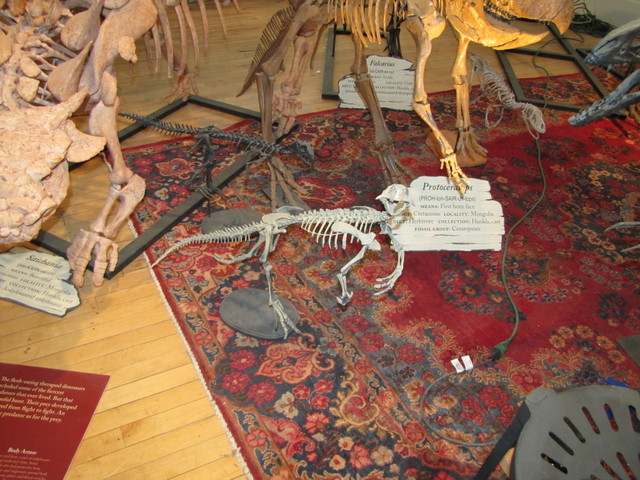 IMG 0080