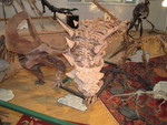IMG 0082