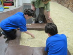 Excavating fossils with small brushes