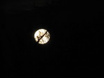 We had an amazing moon last night. Don took this neat picture of it (crossed by tree branches), but it still doesn't do it justice.