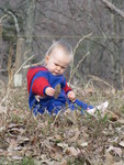 Examining this leaf apparently required great concentration.