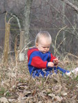 Still concentrating on the leaf