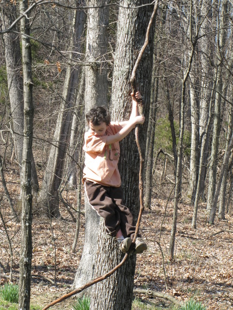 Getting ready to climb down