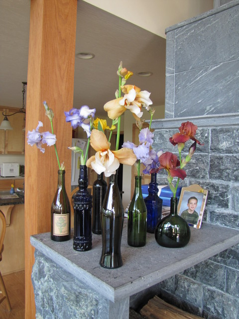 May 7: Iris display from our iris bed