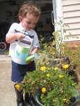 Connor watering the plants