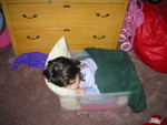 I peeked into Kailyn's room and didn't see her sleeping in her bed... looked closer, and she wasn't in her sleeping bag, either. I stepped into the room, worried, and found her sleeping in the toybox!