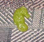 February 7: today we made soap. Connor made a seahorse that looks a lot like the ones at the aquarium!