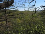 Approximation of view we'll have from our deck.  This pic was taken from the big oak at southern ege of site 3, but view should be similar from site 2.5, which is where we plan to build.