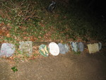 IMG 5069