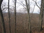 The view from the top of the knoll