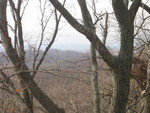 Another picture from up in the tree