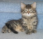 On the stairs