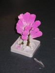 Growing the 'crystal forest' -- a gift from Phil. The pink tree did great