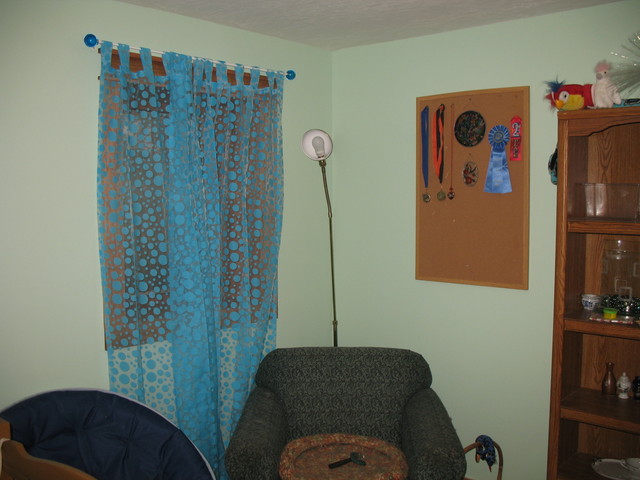 Kailyn's reading corner with her curtains and bulletin board up