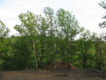 South -- with the firewood stash