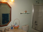 Mirror, shelf, and towel bar (visible in mirror) installed in downstairs bathroom