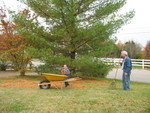 Connor helping Grandpa collect pine needles