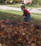 Raking